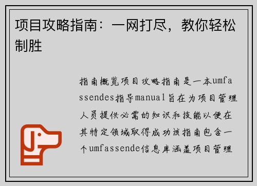 项目攻略指南：一网打尽，教你轻松制胜